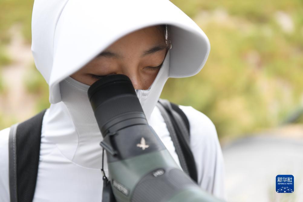 全新捕鱼注册